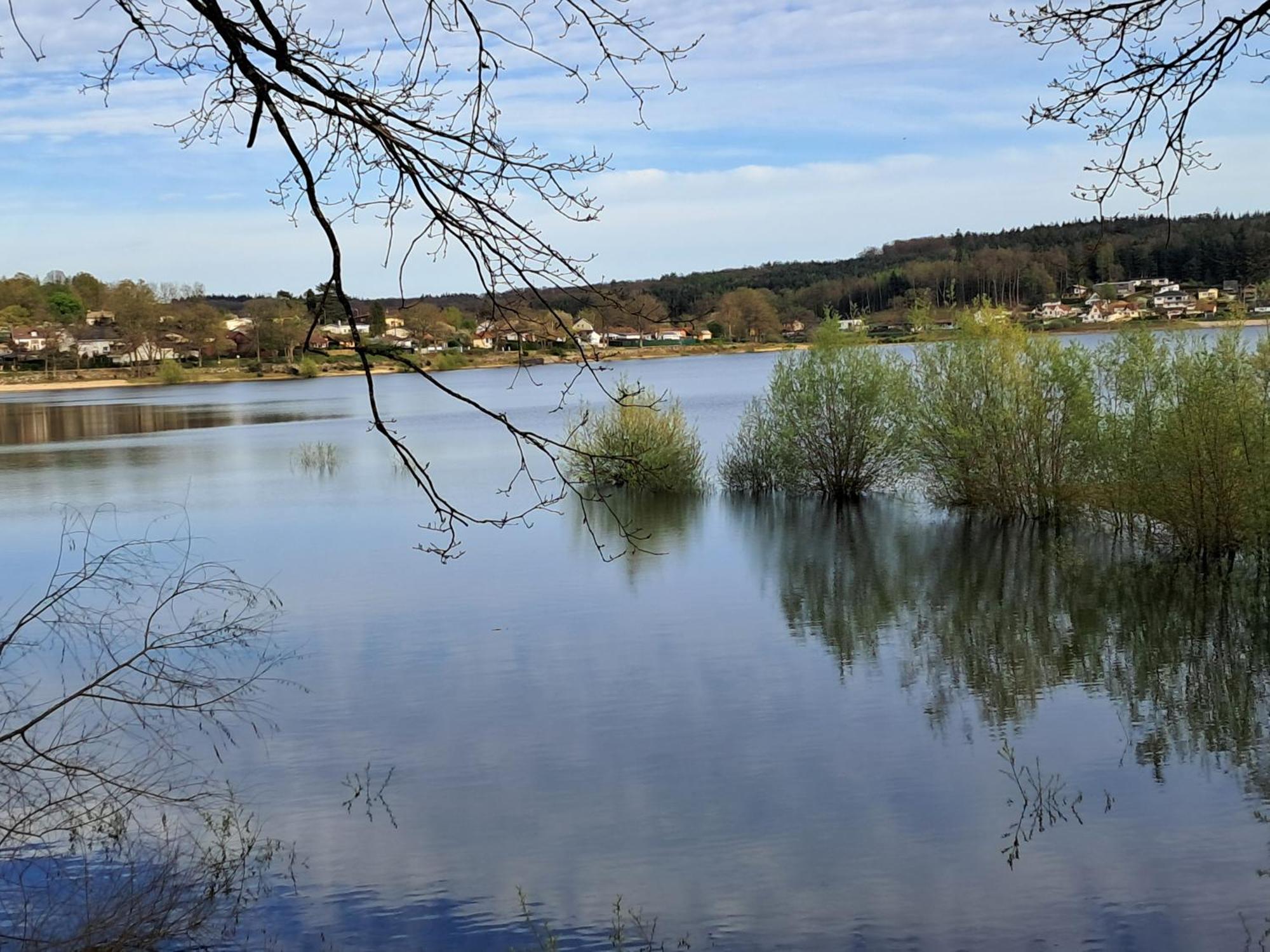 Grand Gite Des Pins Chaumousey Exteriér fotografie